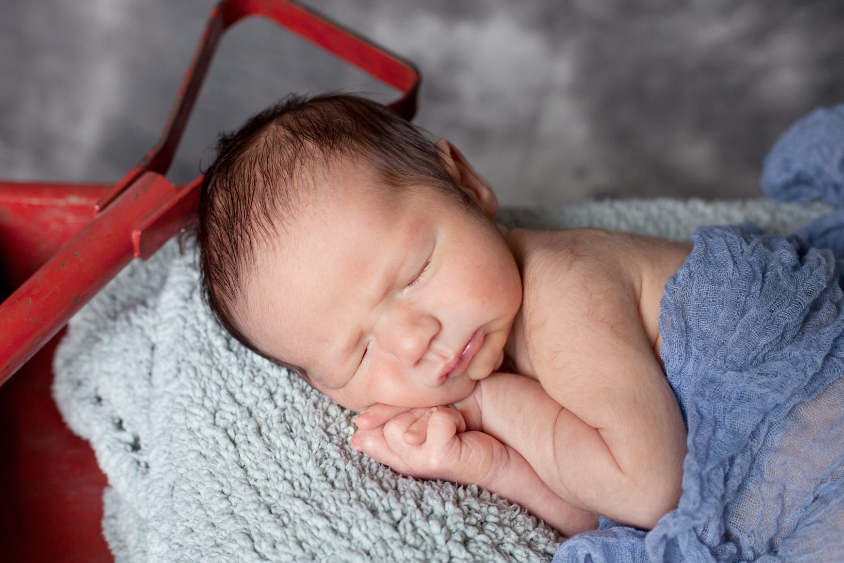 Ottawa-Munster-Newborn-Photographer
