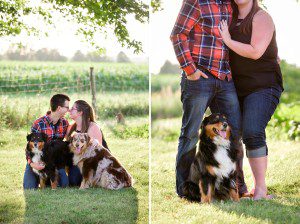 Winchester-Engagement-Session-with-Pets-2