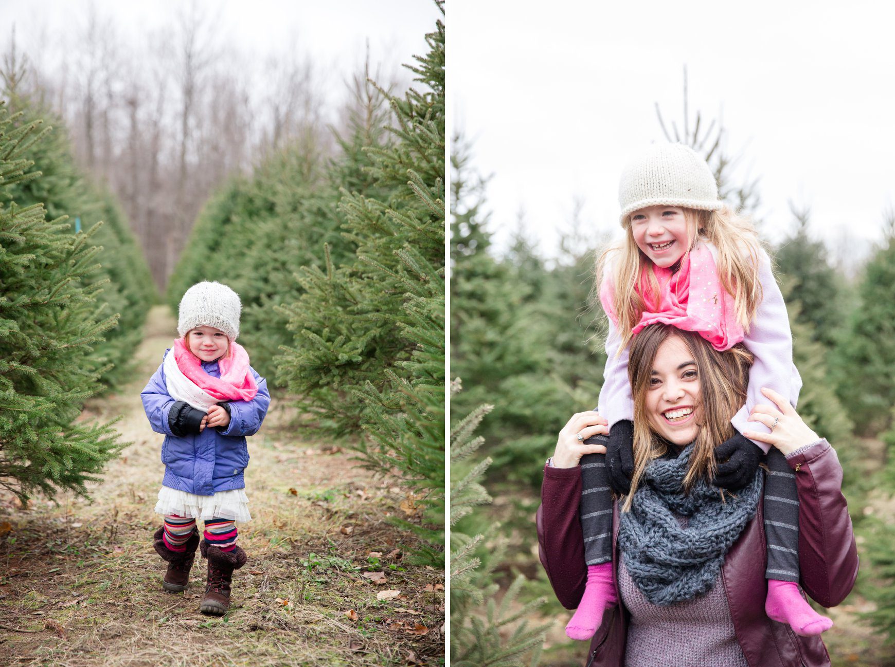 ottawa-christmas-tree-farm-photos_0013