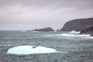Newfoundland Avalon Peninsula During Iceberg Season 5