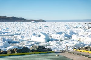 Newfoundland Avalon Peninsula During Iceberg Season 25
