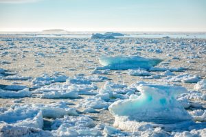 Newfoundland Avalon Peninsula During Iceberg Season 28