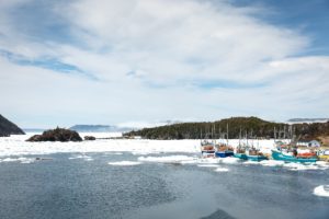 Newfoundland Avalon Peninsula During Iceberg Season 37
