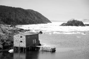 Newfoundland Avalon Peninsula During Iceberg Season 38
