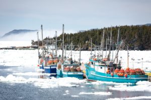 Newfoundland Avalon Peninsula During Iceberg Season 39