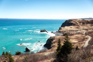 Newfoundland Avalon Peninsula During Iceberg Season 42