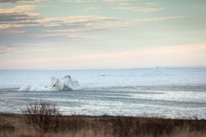 Newfoundland Avalon Peninsula During Iceberg Season 56