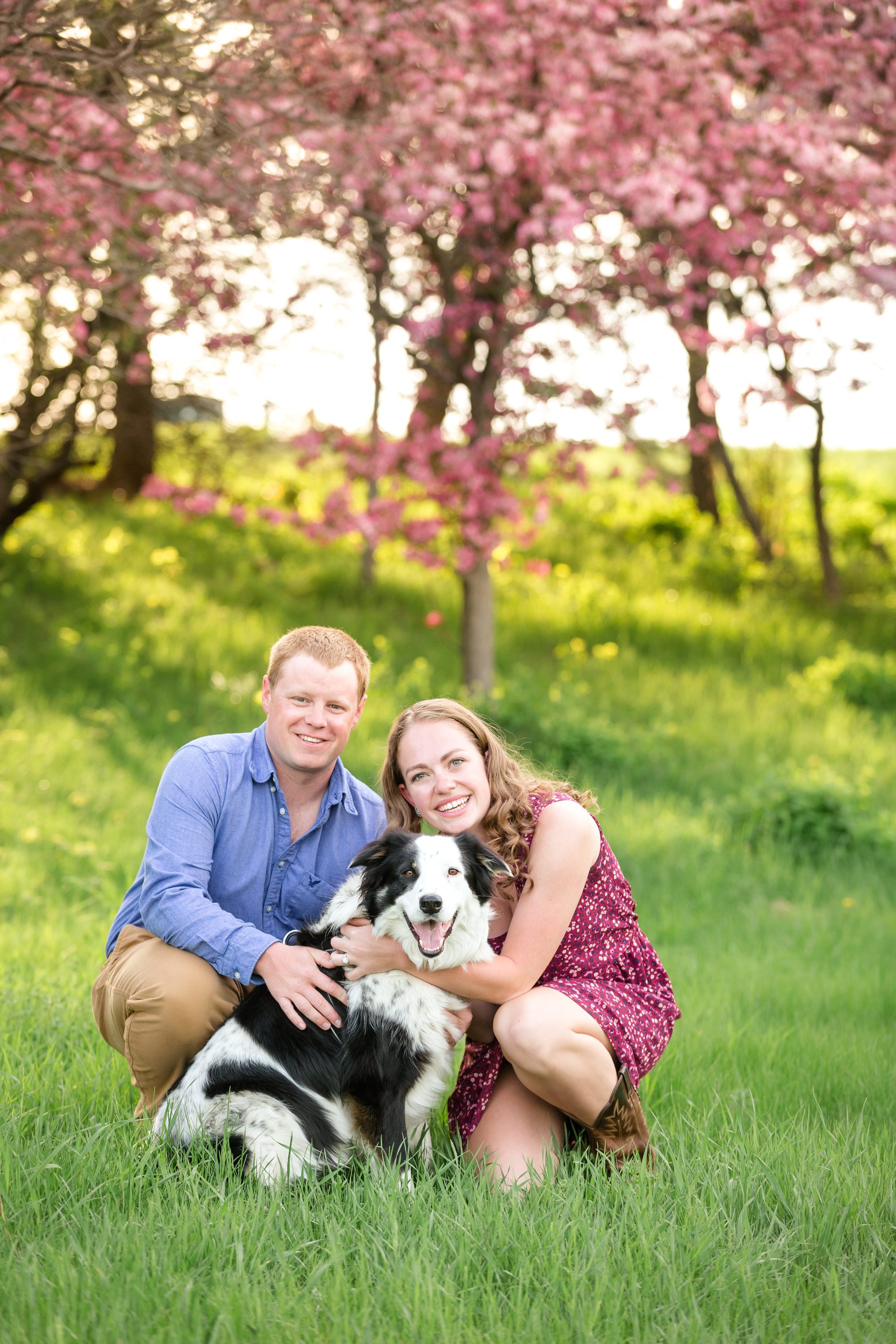 spring engagement session with dog in ottawa Ontario