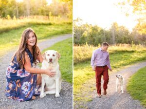 Dog Family Portraits
