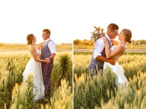sunset wedding portrait in a wheat field during farm wedding in North Stormont, ON
