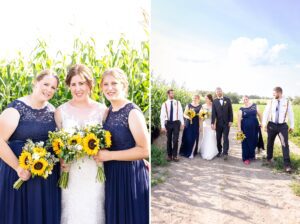wedding party portraits in cornfield - farm wedding in Alexandria, ON