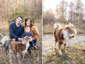 Family photos with dog