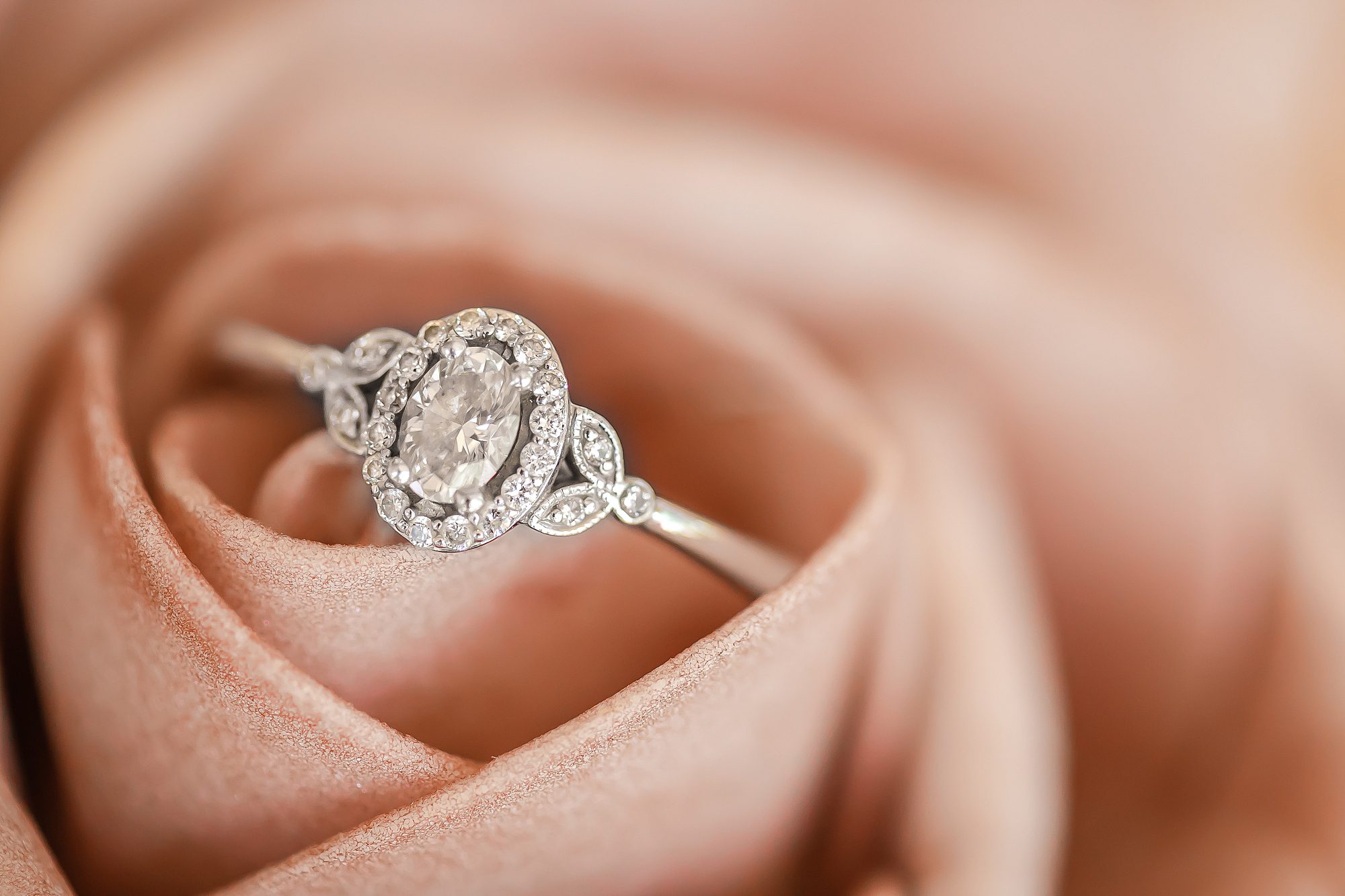 engagement ring in rose
