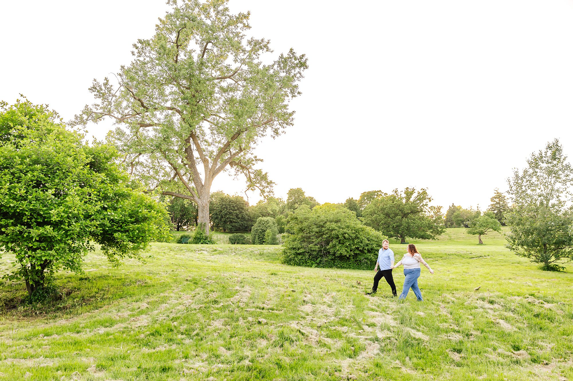 engagement photo in field in Ottawa