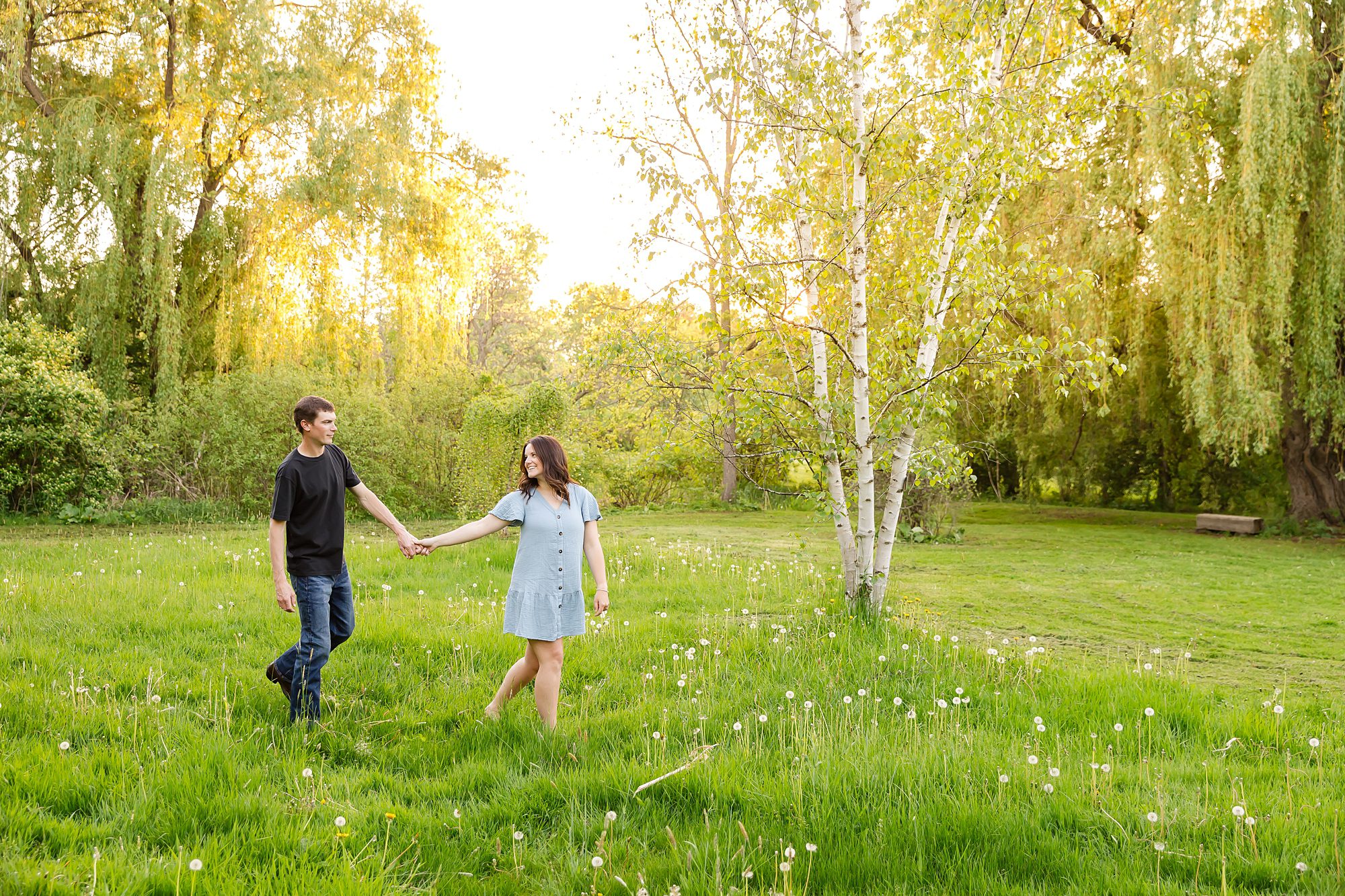 golden hour engagement photos at the dominium arboretum in Ottawa, ON