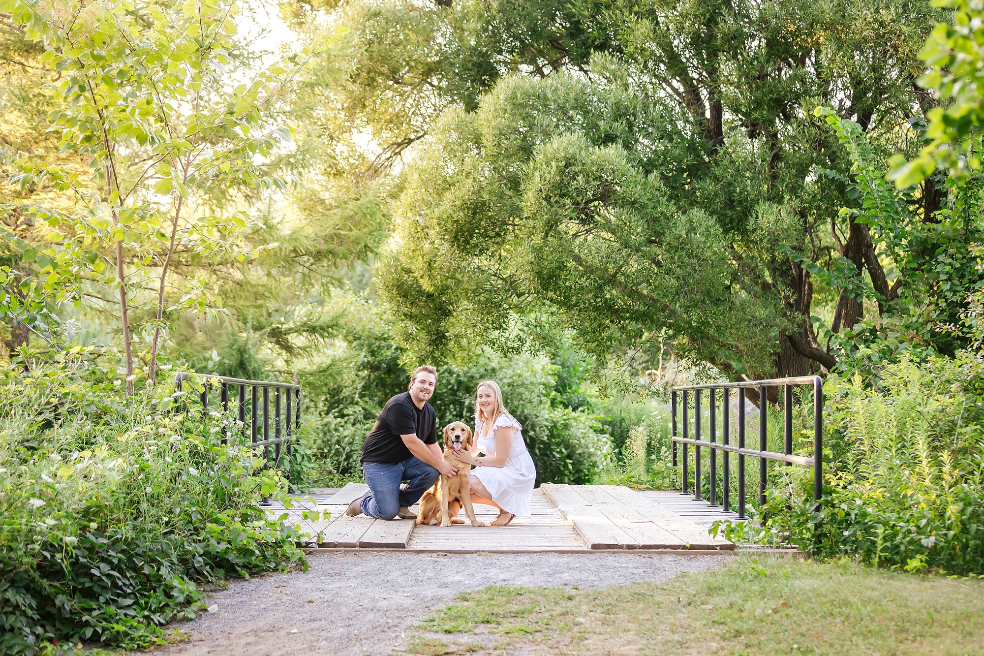 engagement photo of a couple with their golden retriever on a bridge at the Dominium Arboretum in Ottawa